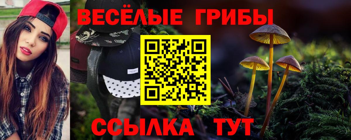 Балтийск  Псилоцибиновые грибы MAGIC MUSHROOMS  Галлюциногенные грибы мицелий  Вход с VPN 